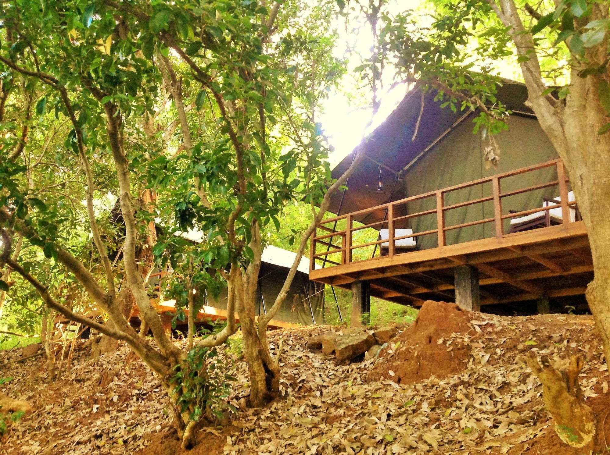 Kula Kula Luxury Camping Resort Udawalawe Exterior foto